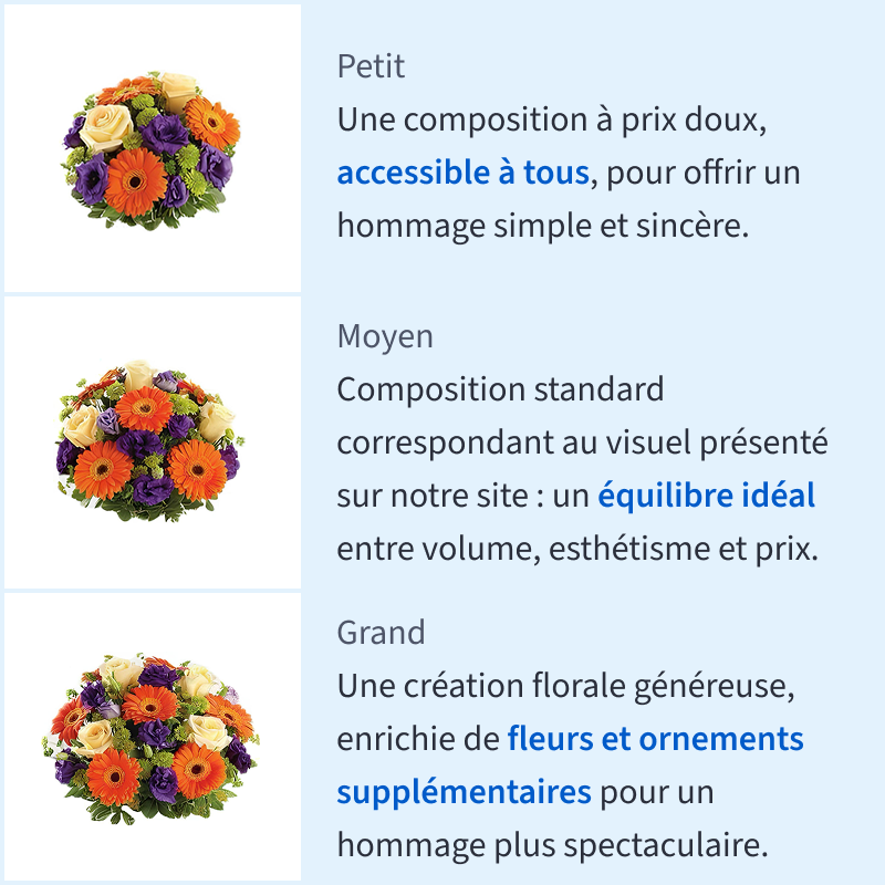 Guide tailles