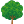 Catégorie : Arbre