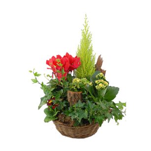 Fleurs pour enterrement - Composition florale de deuil Luisance