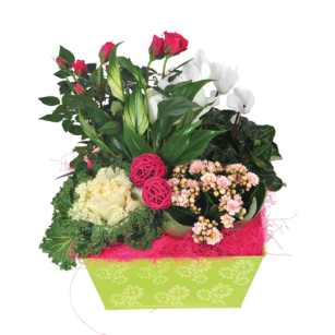 Fleurs pour enterrement - Composition florale de deuil Oracle