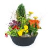 Fleurs pour enterrement - Fleurs de deuil en pot Compassion