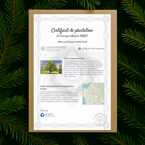 Arbre du souvenir – Image 4