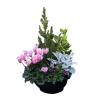 Fleurs pour enterrement - Fleurs de deuil en pot Résilience