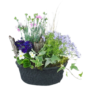 Fleurs pour enterrement - Fleurs de deuil en pot Oraison