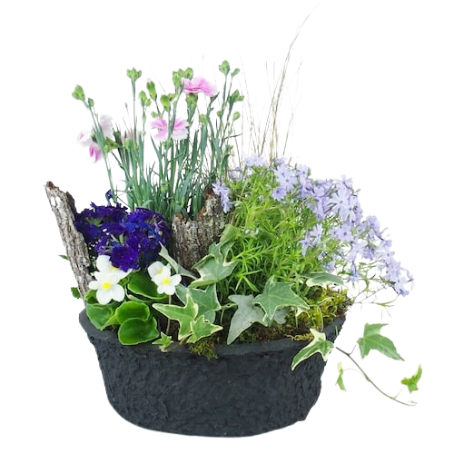 Fleurs offertes