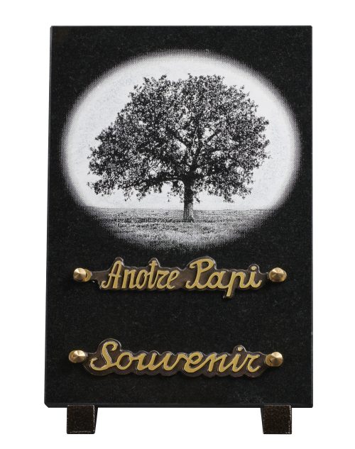 Plaques granit 18x25cm - Gravure Arbre
