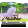 Plaques Altu 21x12cm - Visuel Orchidées